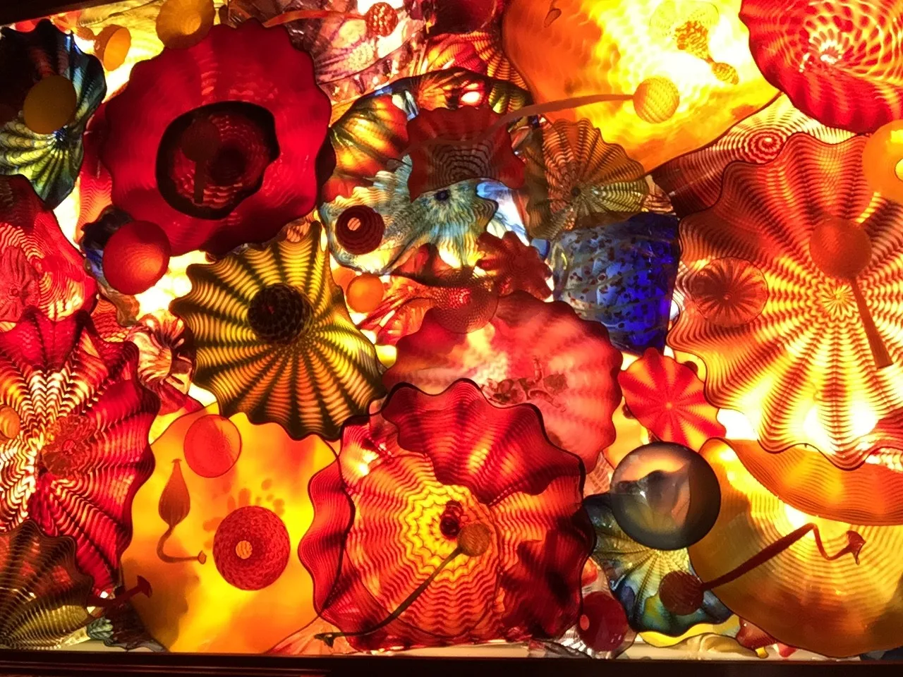 Dale Chihuly Glass Ceiling Installation